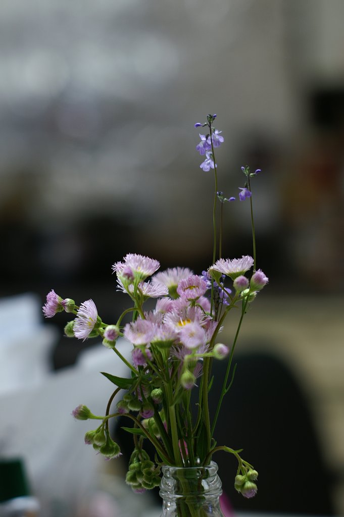 MC ROKKOR-PF 58mmF1.4改造MA