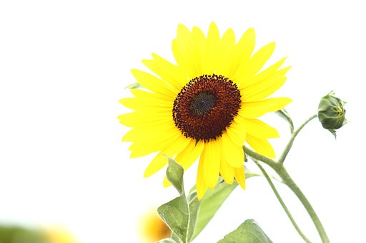 夏全開