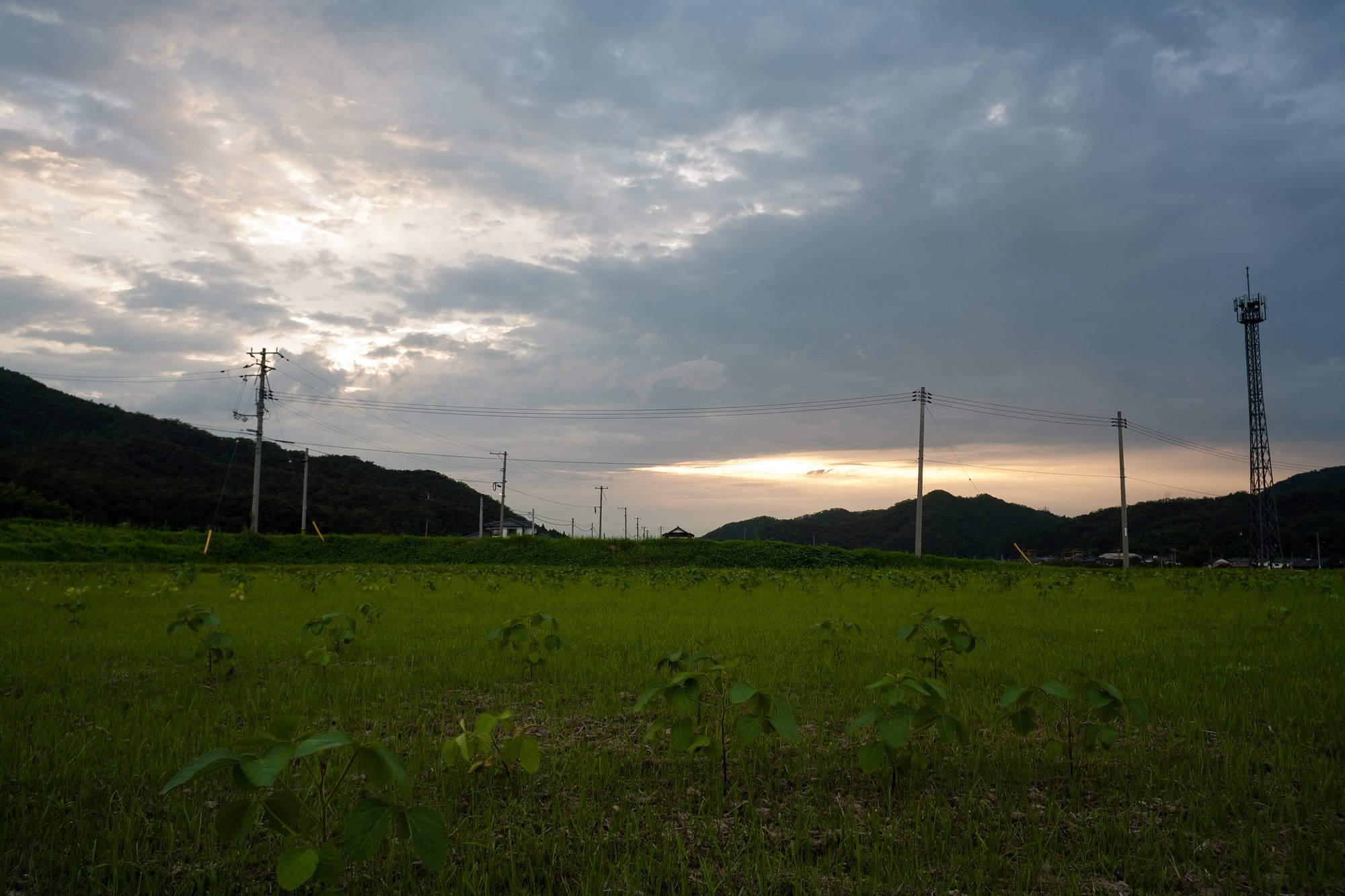 複雑な雲の夕方・・。