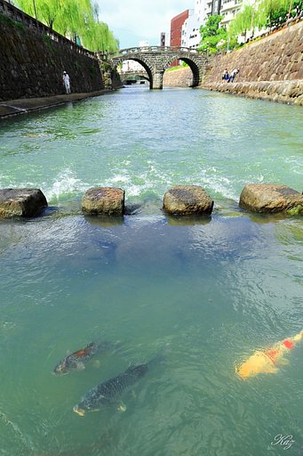 鯉する眼鏡橋