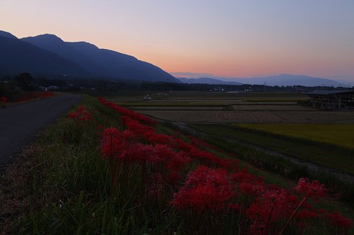 暮れ泥む