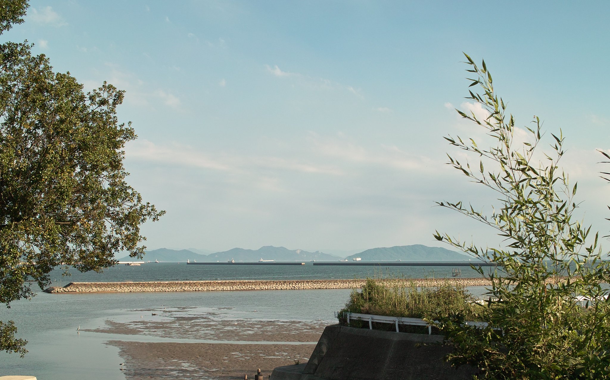 DP2テスト撮影海と空