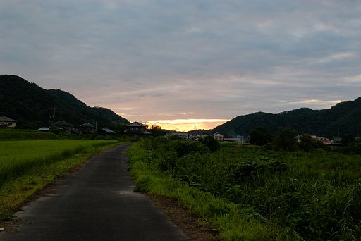 一寸だけ黄金色に・・。