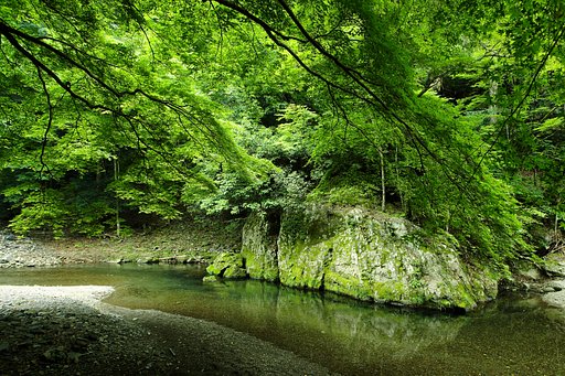 高雄で一休み