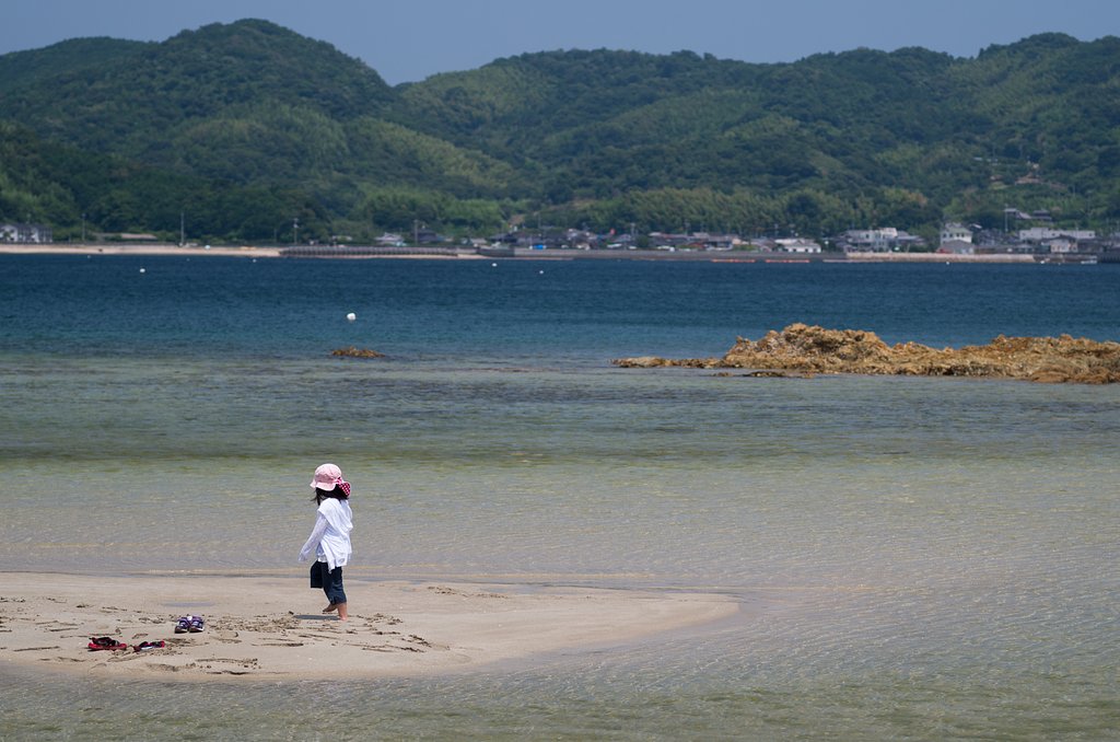 夏の海