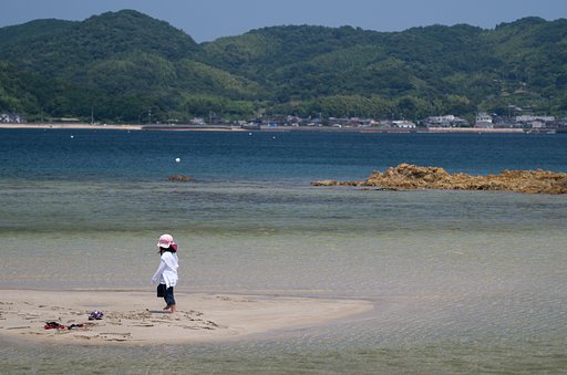 夏の海