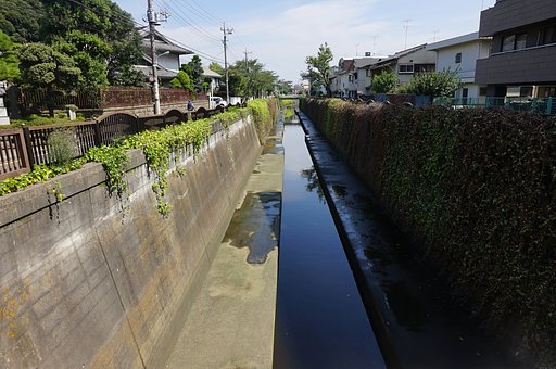 「　呑　川　」