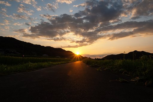 美しい夕焼け。