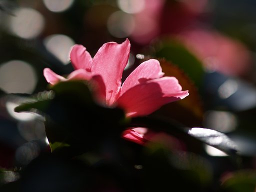 難しい・・・