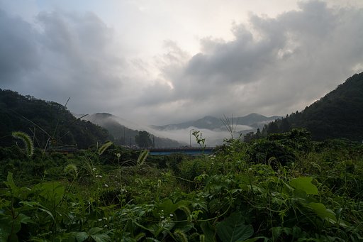 雨降り。
