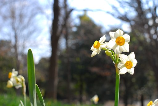 もうすぐ春ですが…2枚目