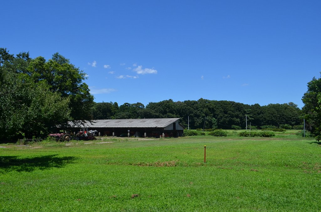 東大農場
