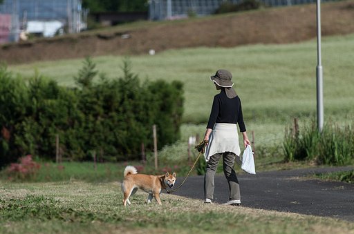 おい！おまえ！