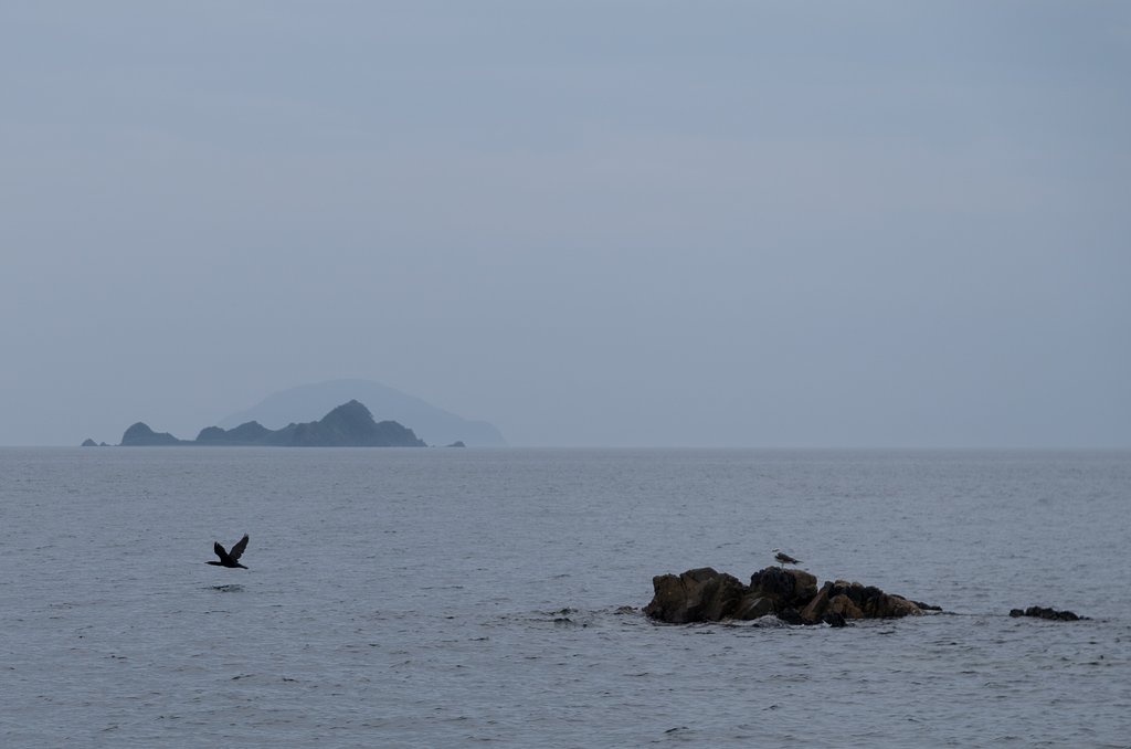 海岸線