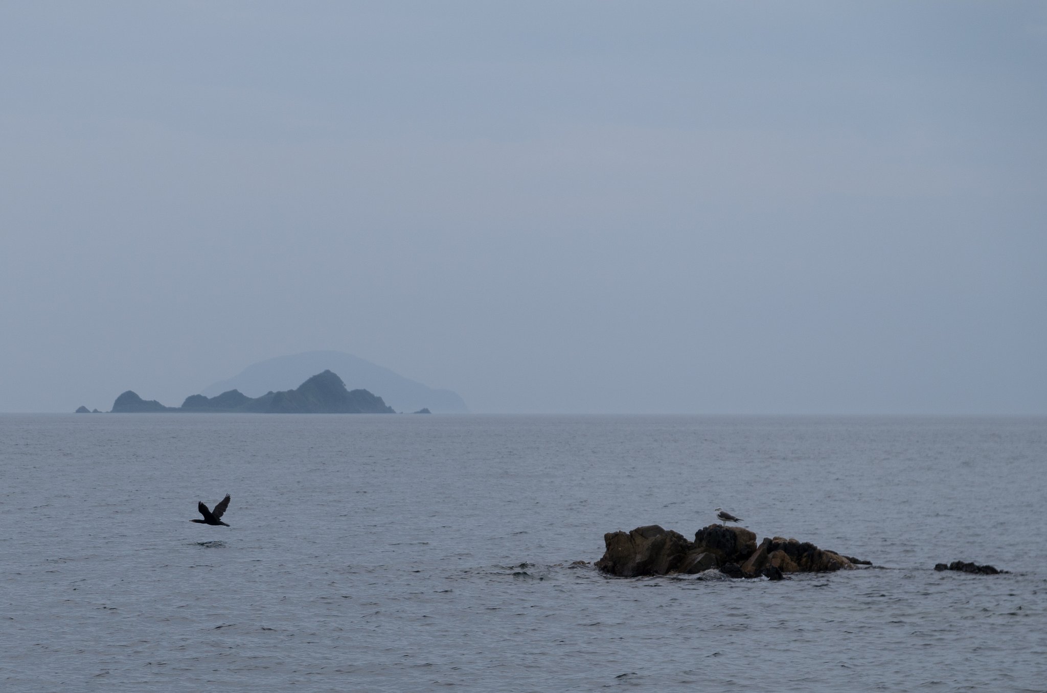 海岸線