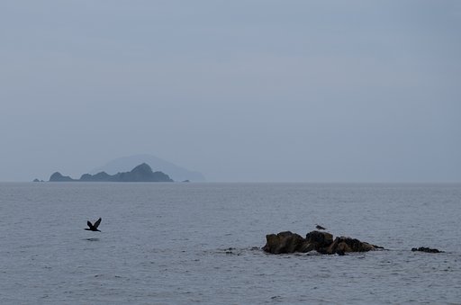 海岸線