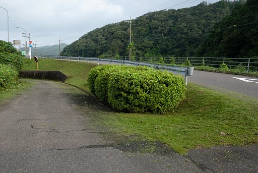 草刈り。