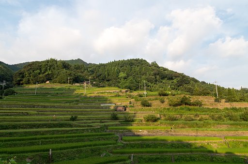 夕暮れ