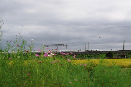 【旅】　いい日旅立ち
