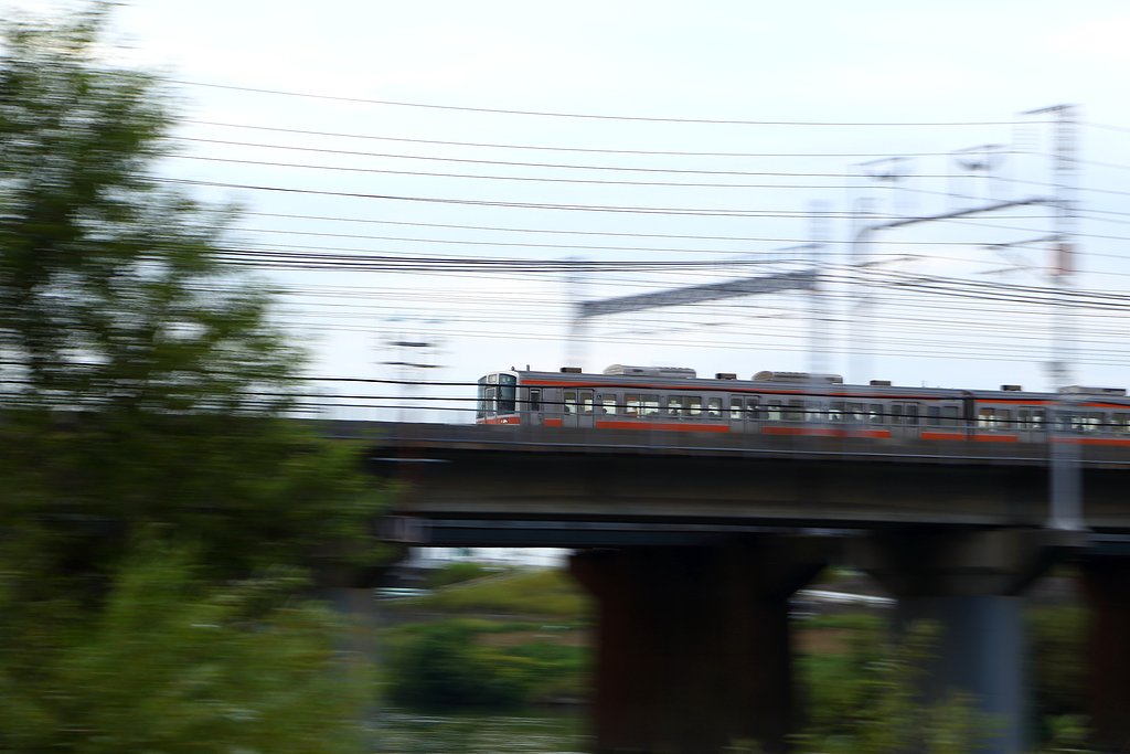 朝駆ける