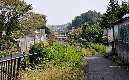 裏道