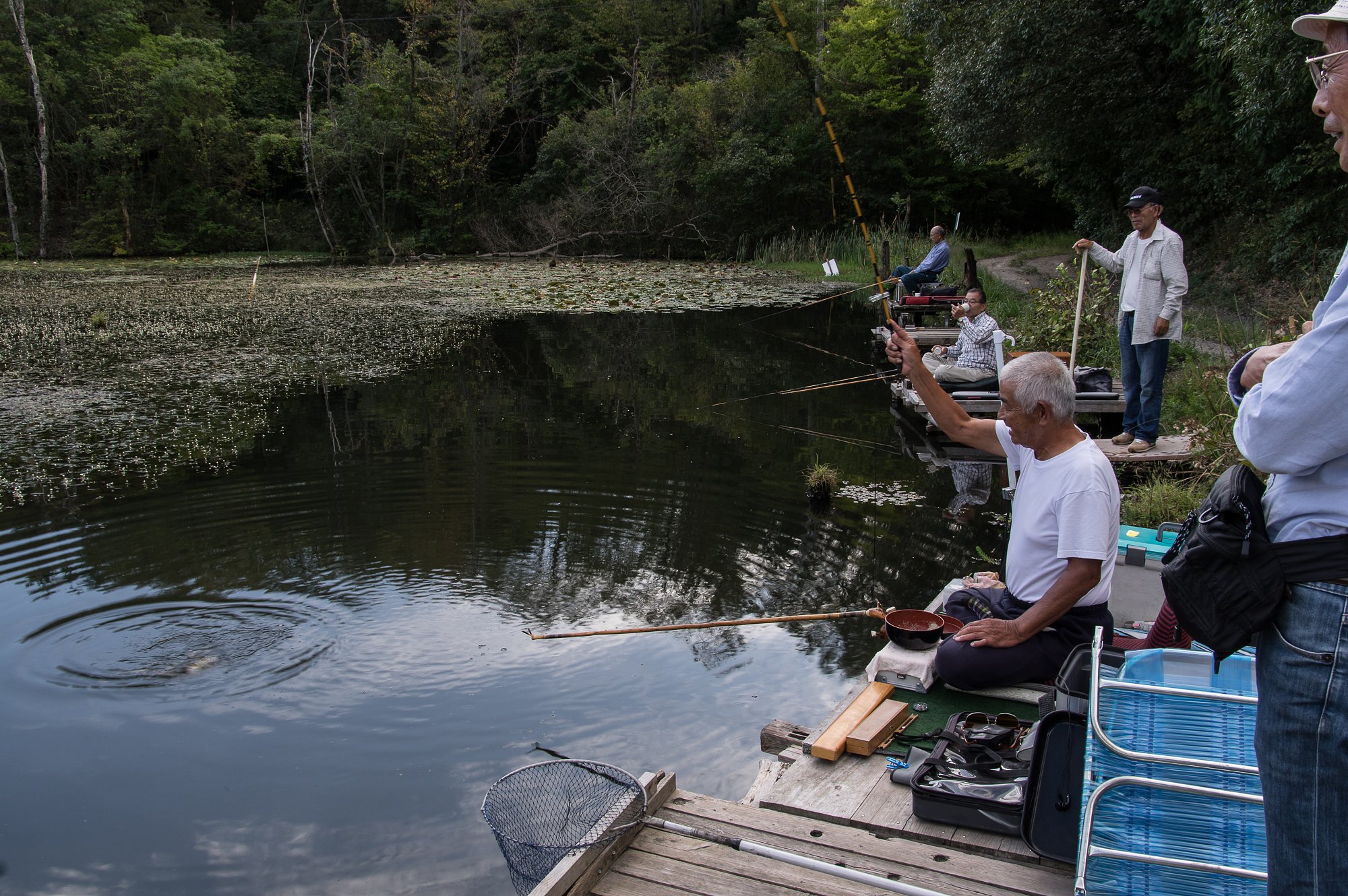 常連さん常連魚を釣るの巻