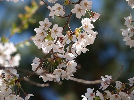 初投稿ですが・・