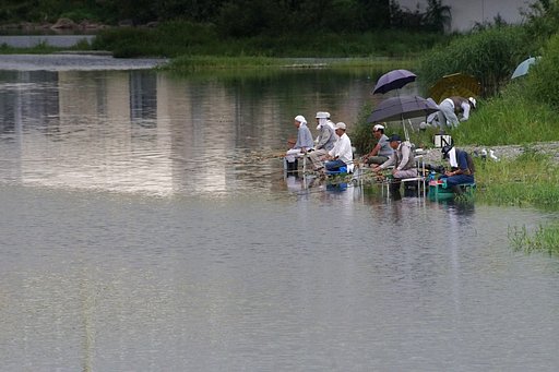 多摩川にて・・・
