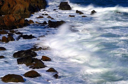 冬の海