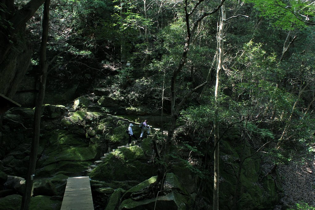 苔生す岩肌ハイキング
