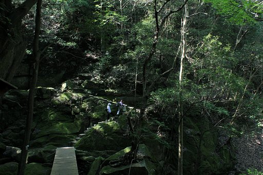 苔生す岩肌ハイキング