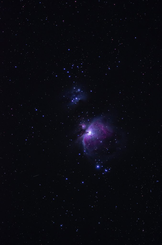M42