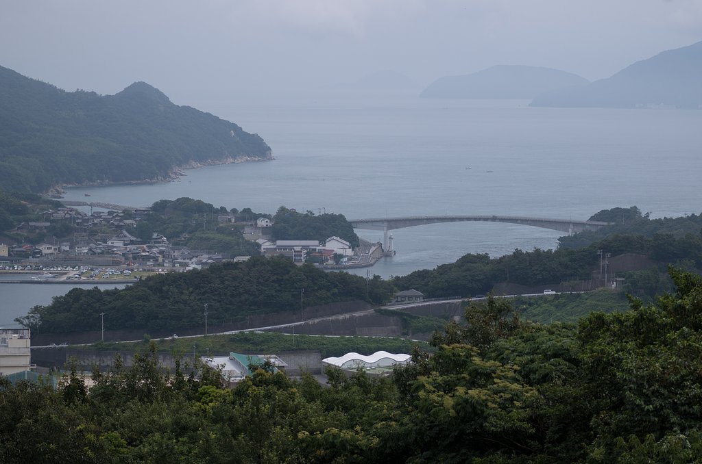橋