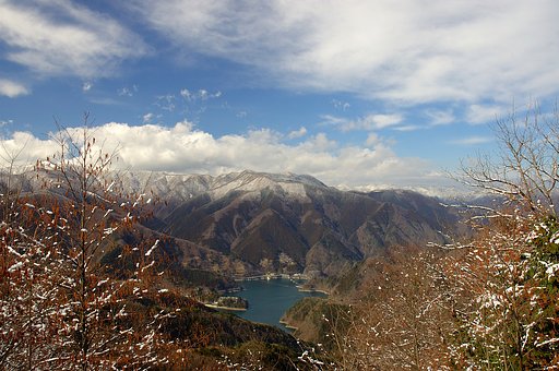 【春】奥多摩の春