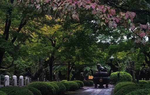 初秋の豪徳寺