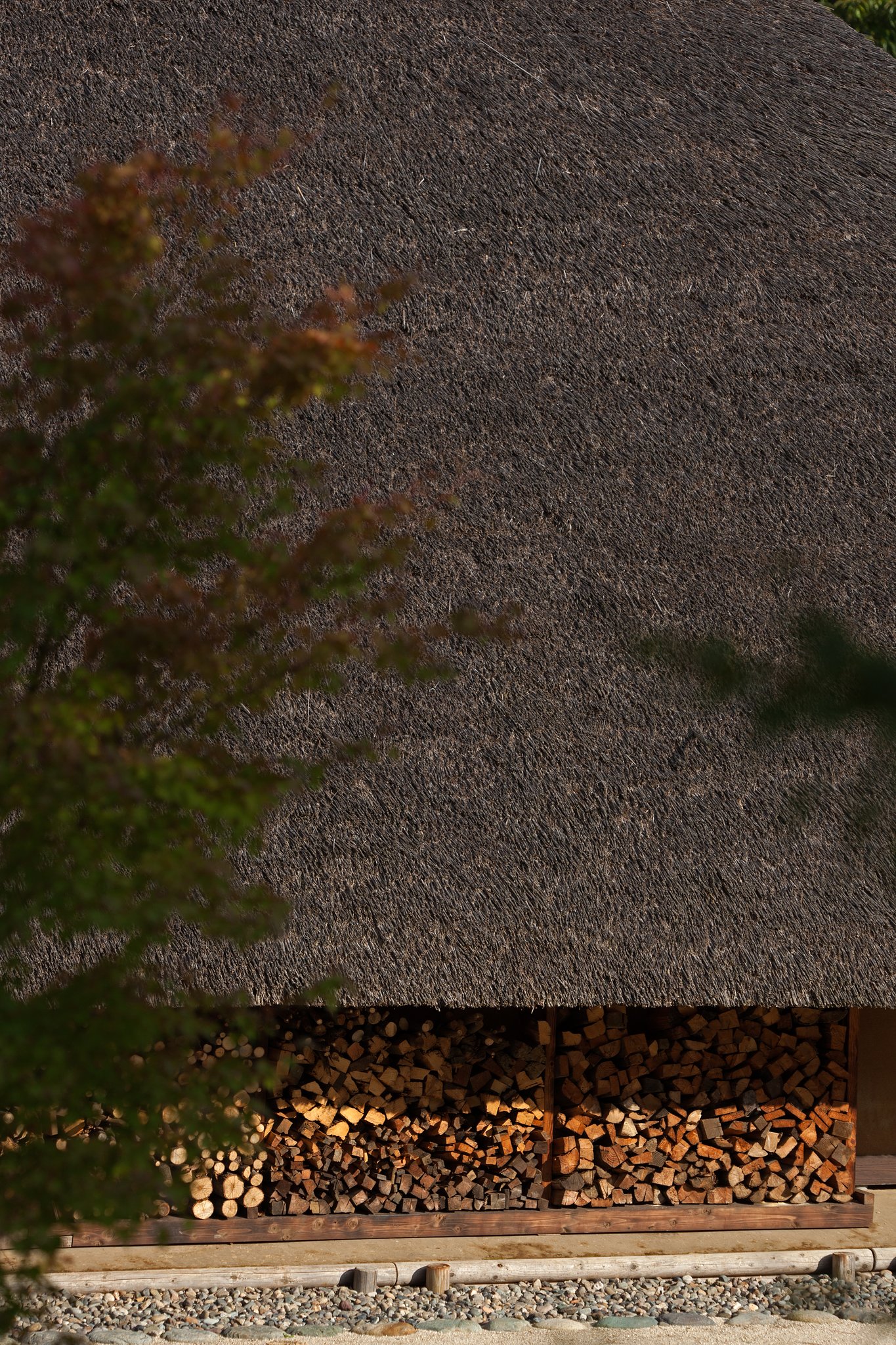 EF180mm F3.5 L MACRO USM