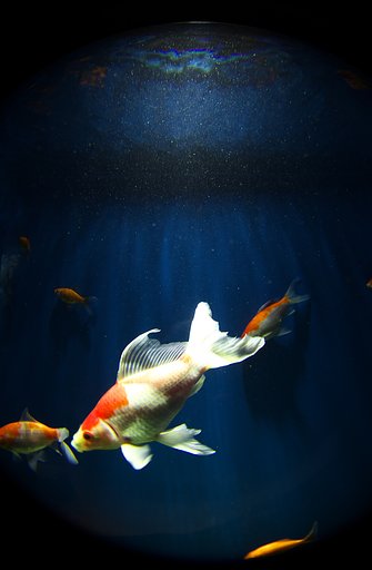 宙に舞う