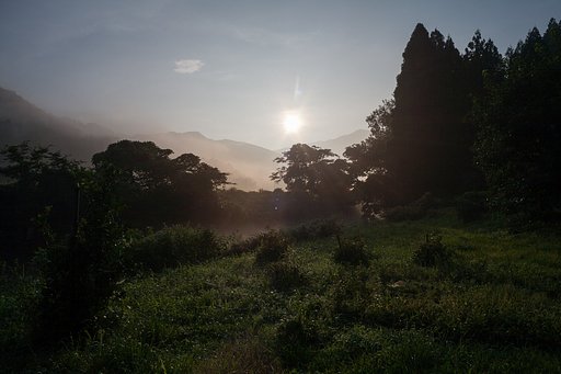 もやっとした朝。