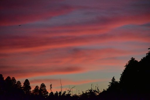 夕焼け