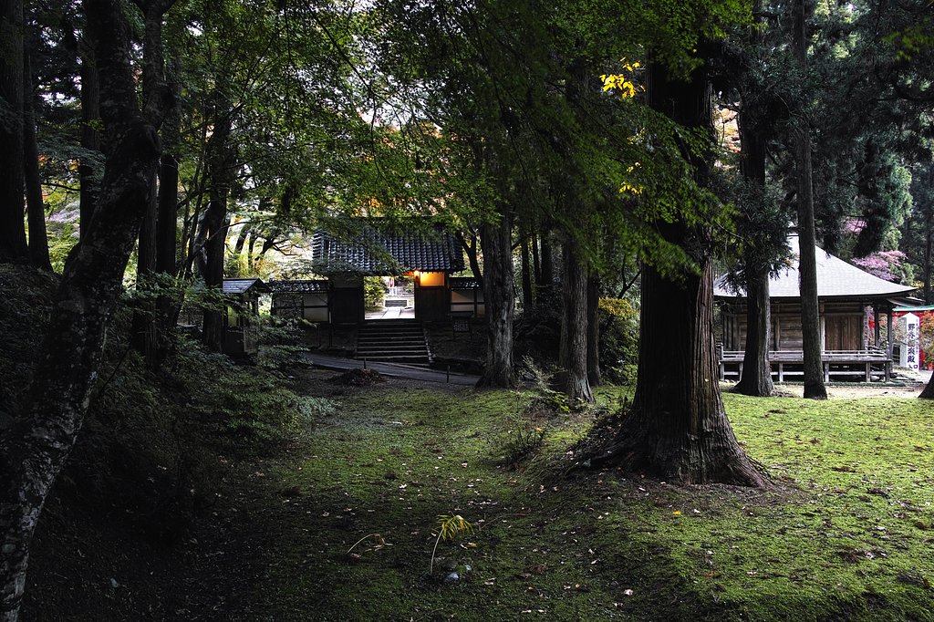 中尊寺釈迦堂の門