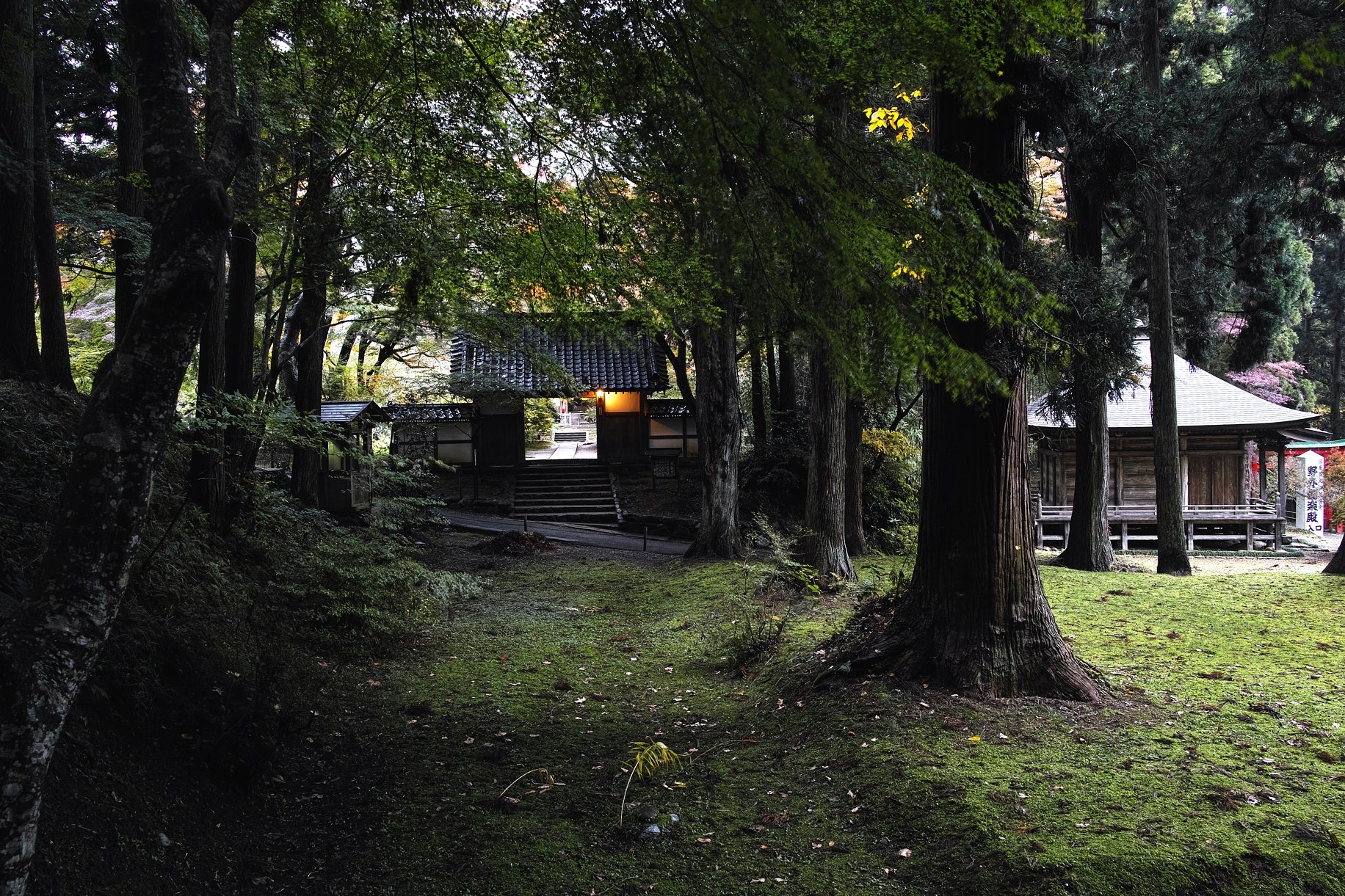 中尊寺釈迦堂の門