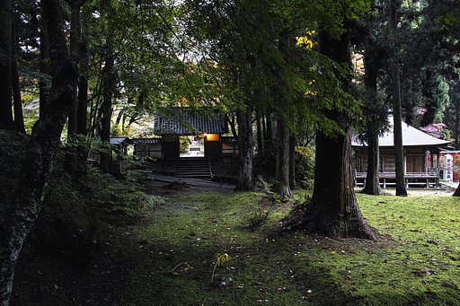 中尊寺釈迦堂の門