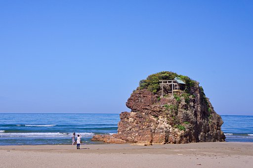 【フリー】稲作の浜