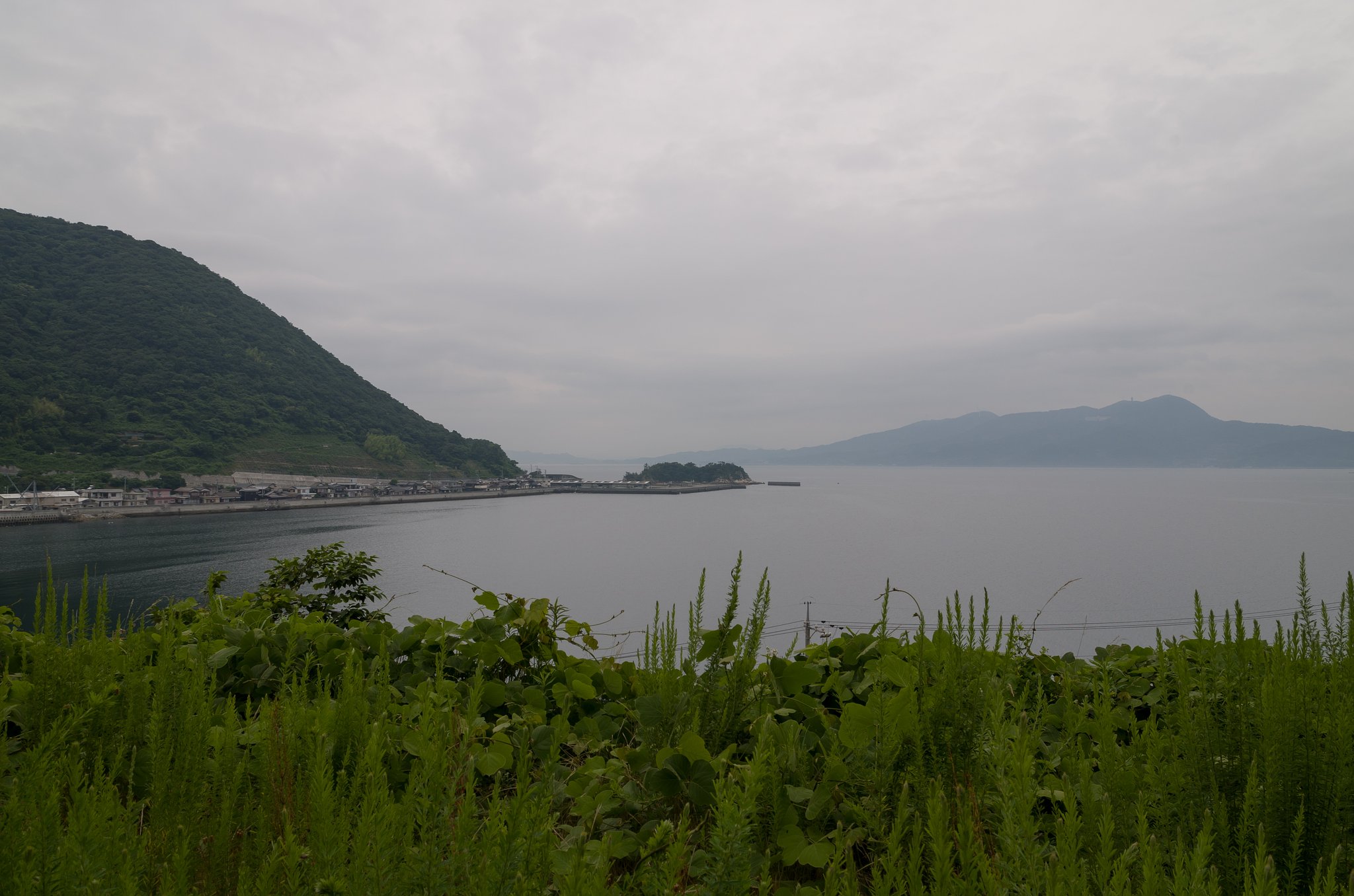 梅雨
