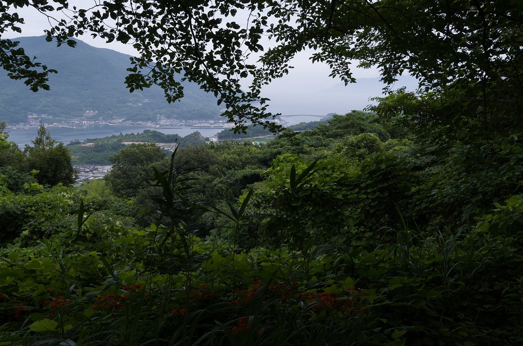 SIGMA 10-20mm F4-5.6 