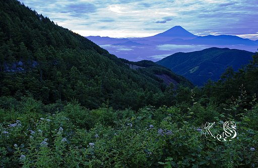 Nikon爺さん、有難うございました。