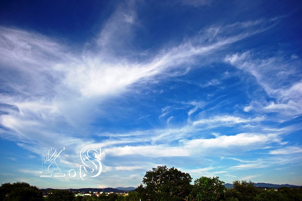 渦巻く雲