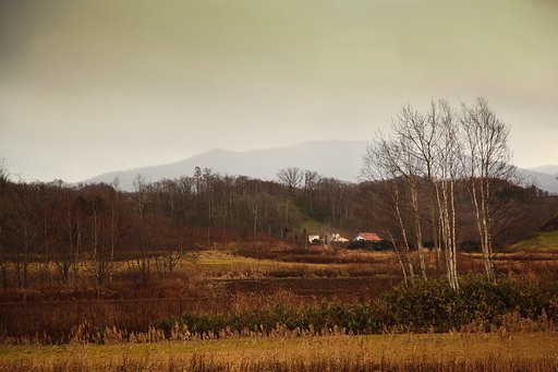 晩秋の風景＠北海道真狩村
