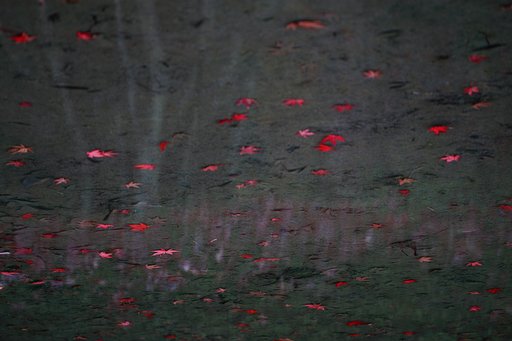 昇秋