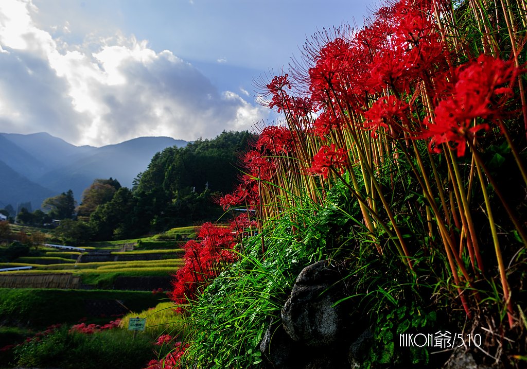 盛秋の風景